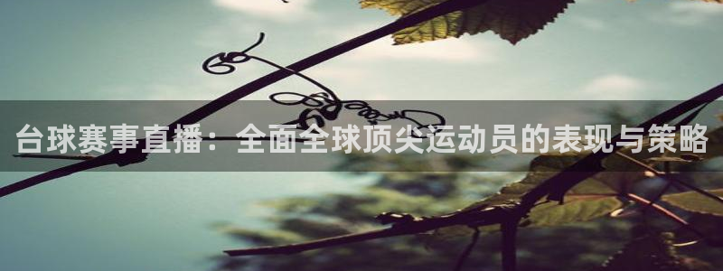台球赛事直播：全面全球顶尖运动员的表现与策略