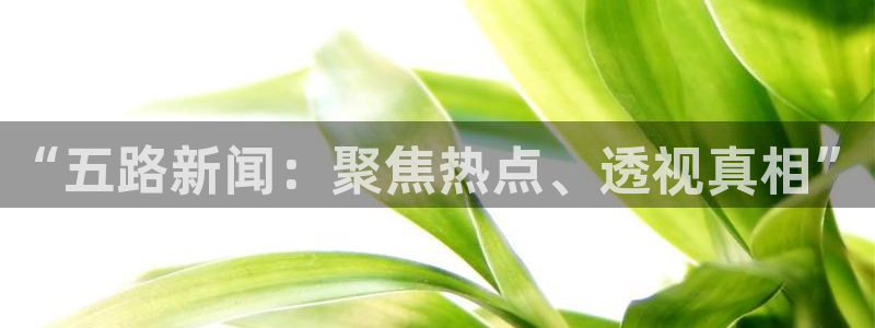 松鼠体育在线直播：“五路新闻：聚焦热点、透视真相”