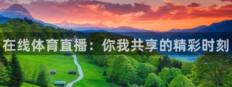 松鼠体育：在线体育直播：你我共享的精彩时刻