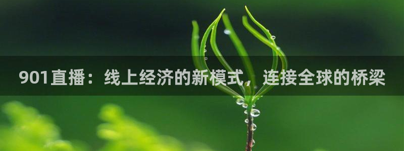 松鼠休闲游戏官网：901直播：线上经济的新模式，连接全球的桥梁