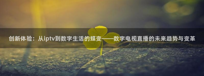 松鼠体育在线直播：创新体验：从iptv到数字生活的蝶变——数字电视直播的未来趋势与变革
