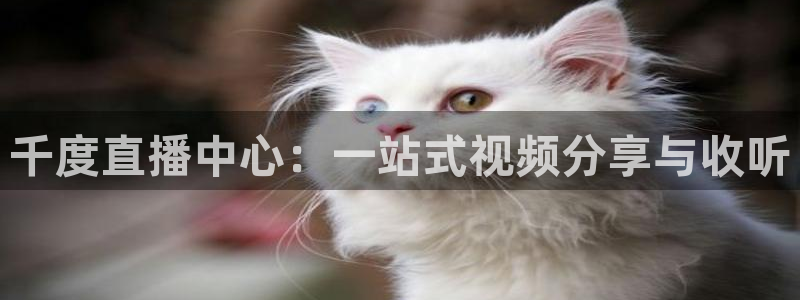 下载松鼠电视直播：千度直播中心：一站式视频分享与收听