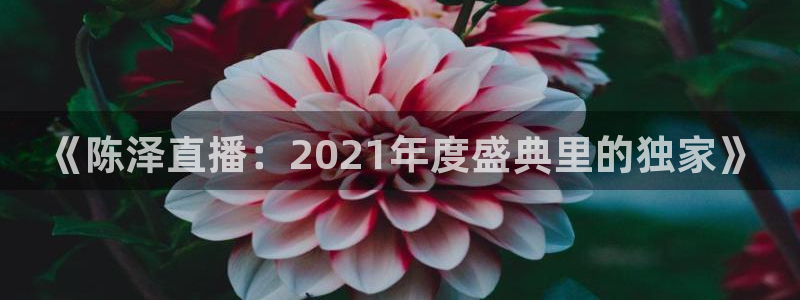 松鼠休闲游戏官网：《陈泽直播：2021年度盛典里的独家》